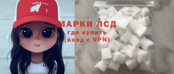 гашик Аркадак