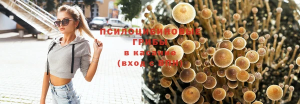 таблы Алексеевка