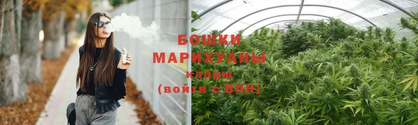 гашик Аркадак