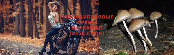 мефедрон Арсеньев