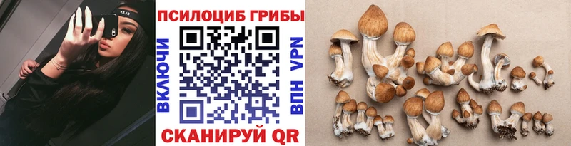 Псилоцибиновые грибы мицелий  Новодвинск 